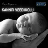 About Kanniti Veedukolu Song